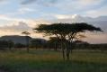 Serengeti - Coucher de Soleil (3)