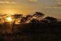 Serengeti - Coucher de soleil (4)