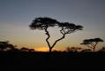 Serengeti - Coucher de soleil