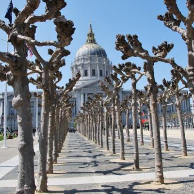 Sf - City Hall