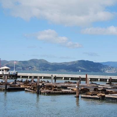 SF - Fisherman's wharf (2)