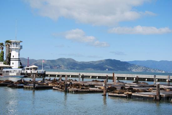 SF - Fisherman's wharf (2)
