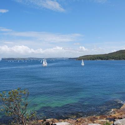 Sydney - Manly walkway