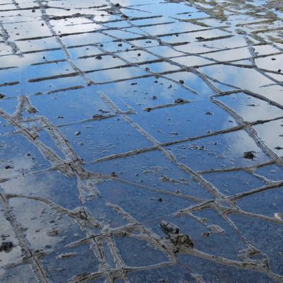 Tasmanie - Tasseleted Pavement (2)