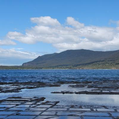 Tasmanie - Tasseleted Pavement