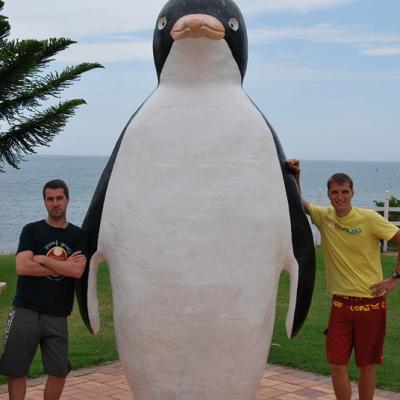 Tasmanie - Pinguin City