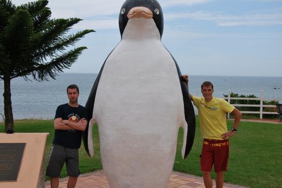 Tasmanie - Pinguin City
