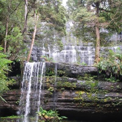 Tasmanie - Russell Falls