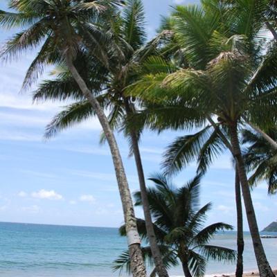 Thiau - Plage de Maoera