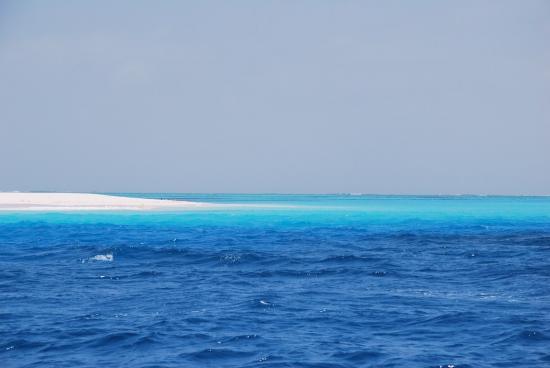 Zanzibar - Atoll Mnemba (3)